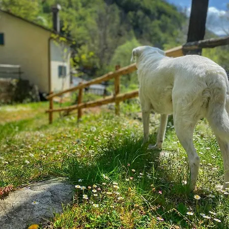 Con Bosco Giardino E Ruscello Ad Uso Esclusivo *