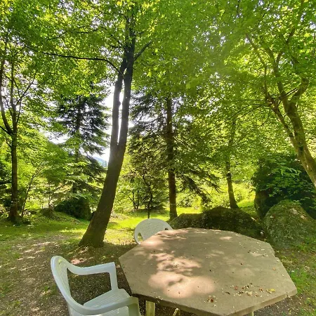 Con Bosco Giardino E Ruscello Ad Uso Esclusivo