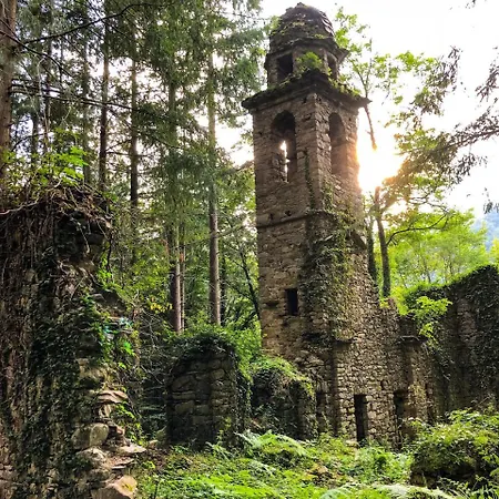 Con Bosco Giardino E Ruscello Ad Uso Esclusivo *